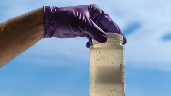 “End of Wastewater Testing Program Halts Vital Research at University of Waterloo” “End of Wastewater Testing Program Halts Vital Research at University of Waterloo”