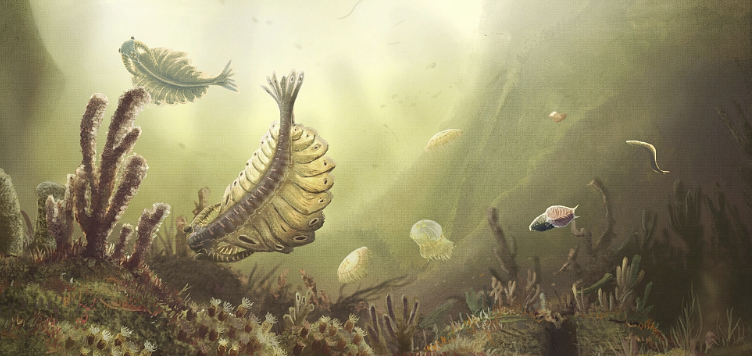 “Unveiling the Role of Oceanic Oxygenation in the Cambrian Explosion: New Insights from Chinese Research” “Unveiling the Role of Oceanic Oxygenation in the Cambrian Explosion: New Insights from Chinese Research”