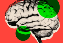 Can Technology Help Slow Down Brain Aging? Can Technology Help Slow Down Brain Aging?