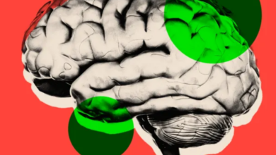 Can Technology Help Slow Down Brain Aging? Can Technology Help Slow Down Brain Aging?